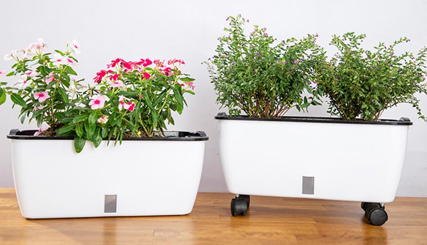 Self-Watering Planting Pots