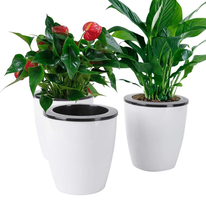 Mini Self watering Flower pots