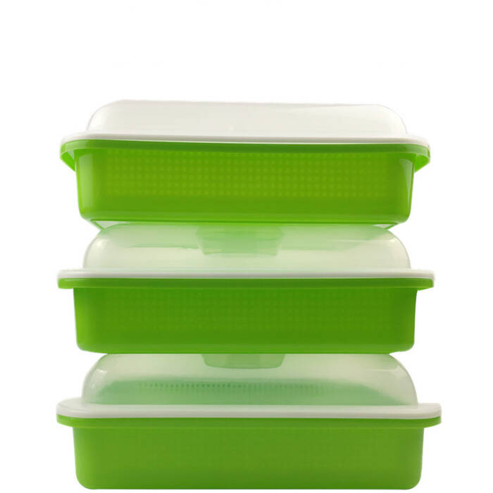 Sprout Trays SEED NURSERY TRAYS With Lids