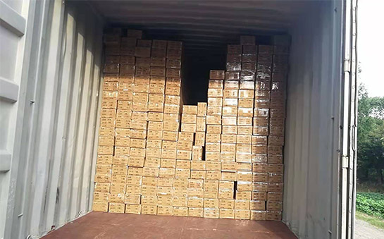 The Philippines customer Purchase One 20'GP container order goods