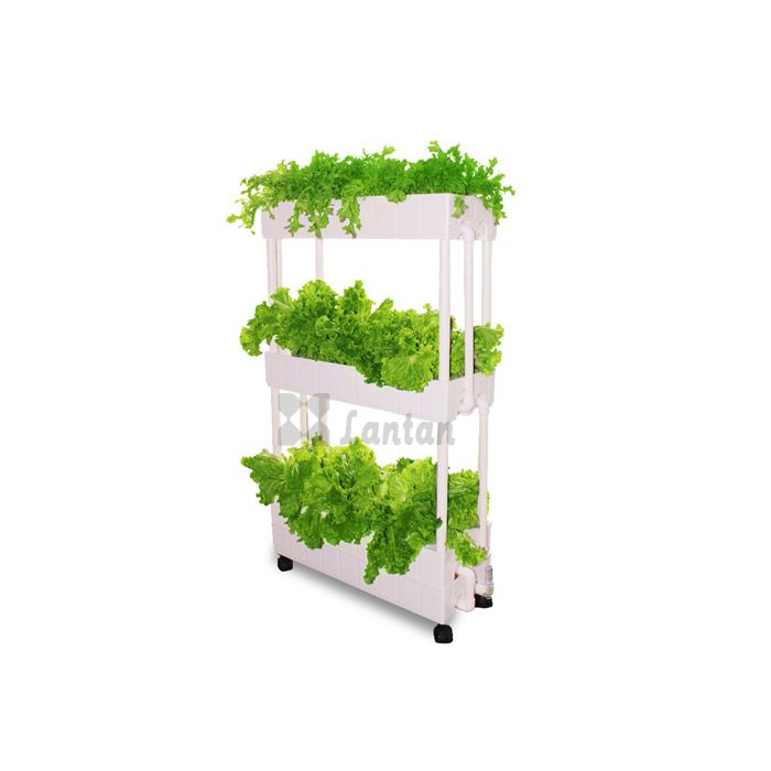 Three Layer NFT hydroponic box