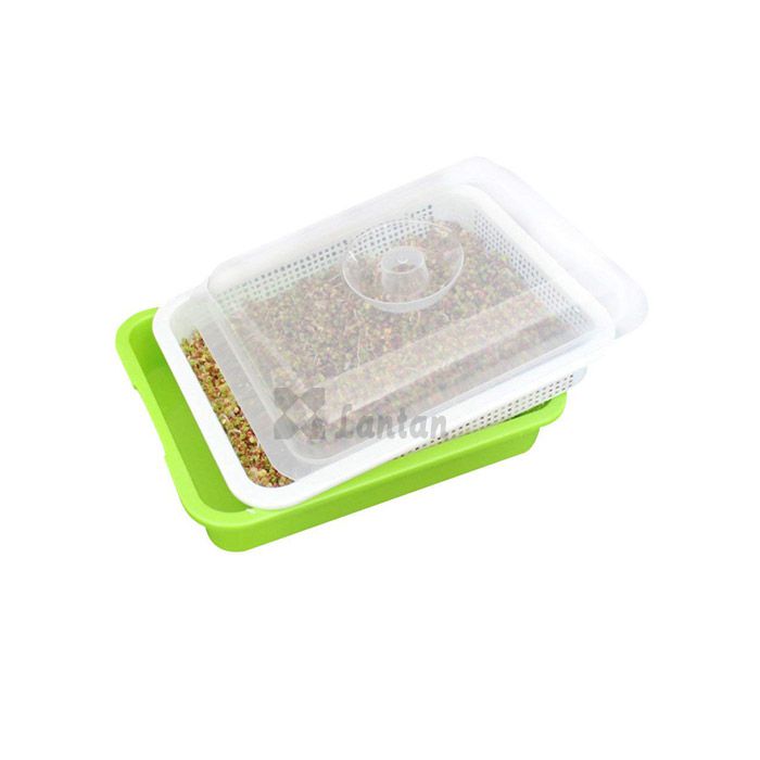 Sprout Trays SEED NURSERY TRAYS With Lids