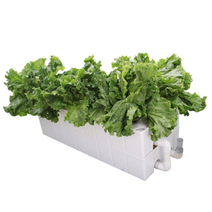 Single Layer NFT hydroponic box