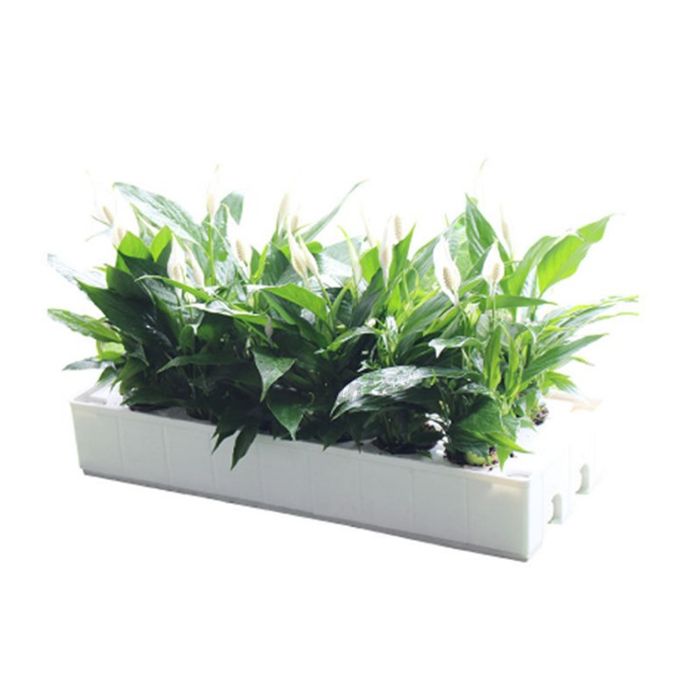 NFT hydroponic planting box