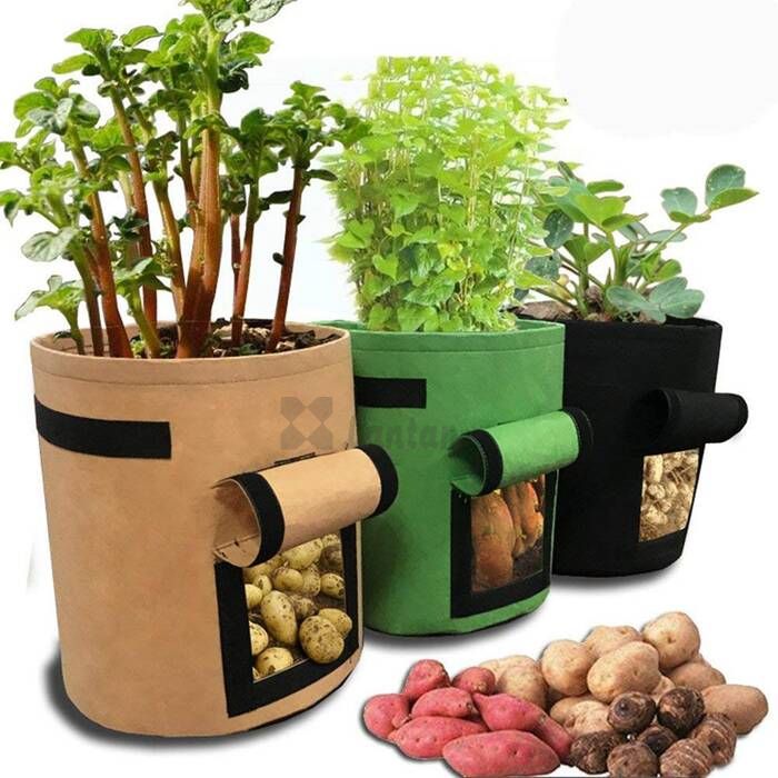 Felt Potato planting pots/bags with many colors