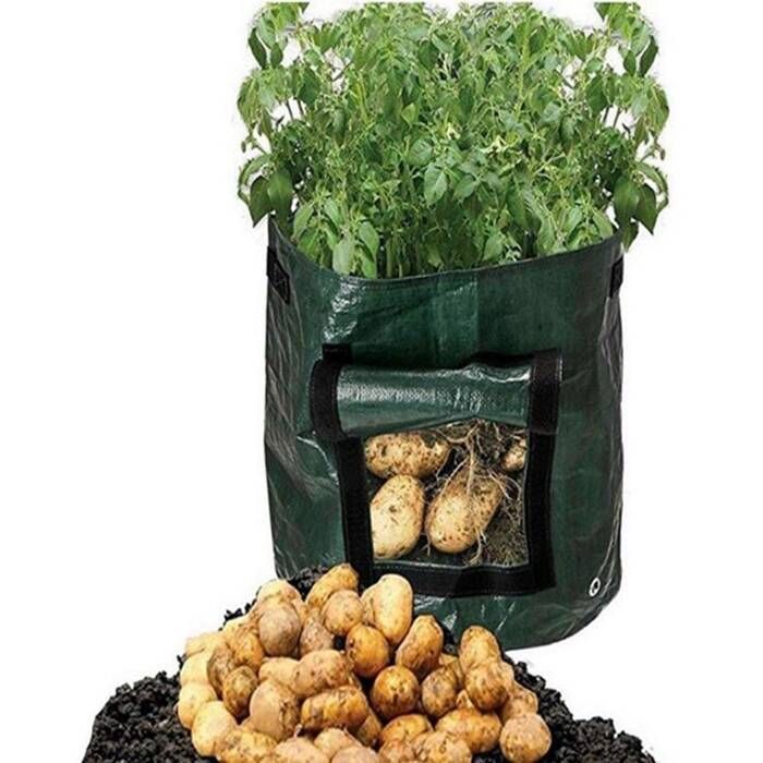 Plastic Potato grow pots/bags