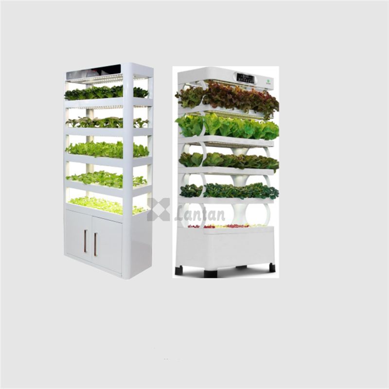 Intellect Vegetable Hydroponic machine