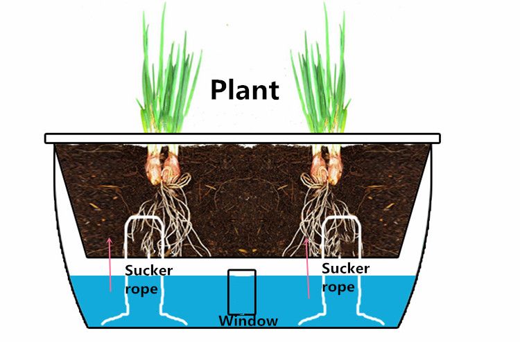 Self watering flower pots