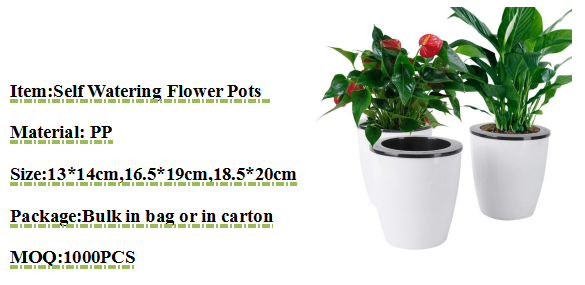 Mini Self watering Flower pots