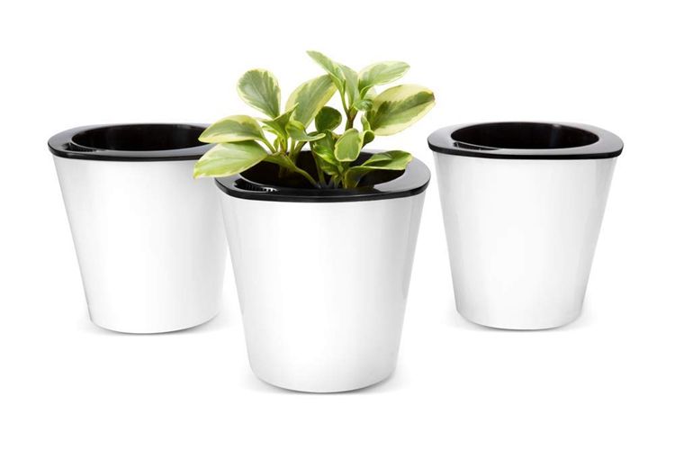 Mini Self watering Flower pots