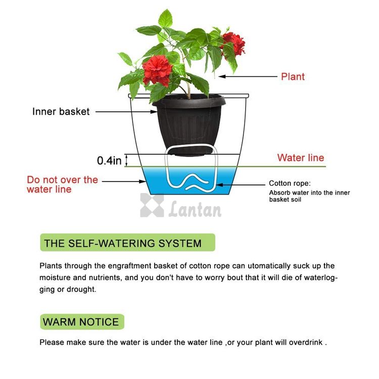 Mini Self watering Flower pots