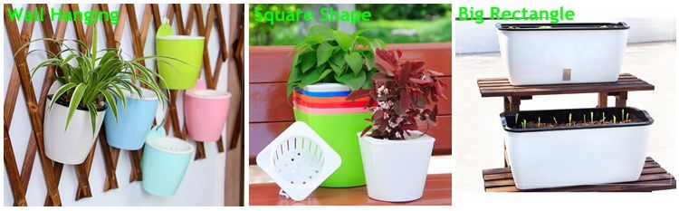 Mini Self watering Flower pots