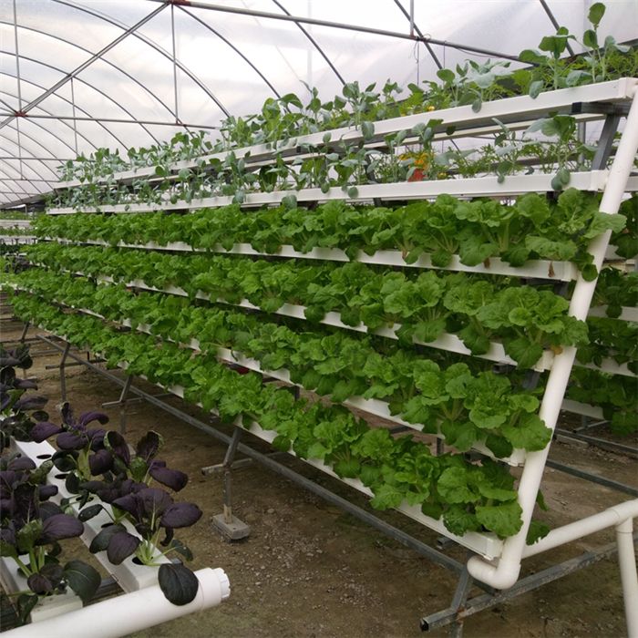 PVC NFT hydroponic channel