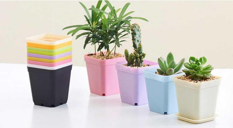 Mini plastic flower pots succulent pot