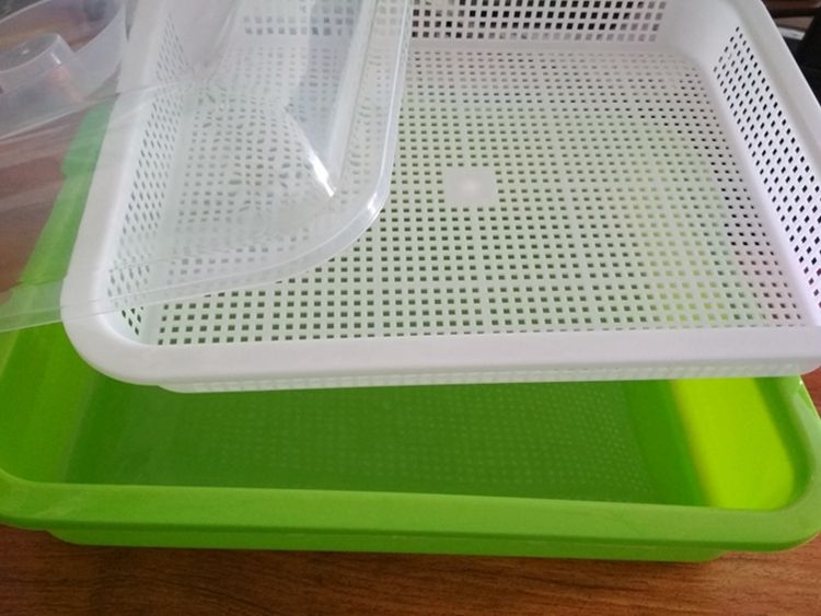 Sprout Trays SEED NURSERY TRAYS With Lids