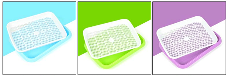 PP Material Sprout Trays