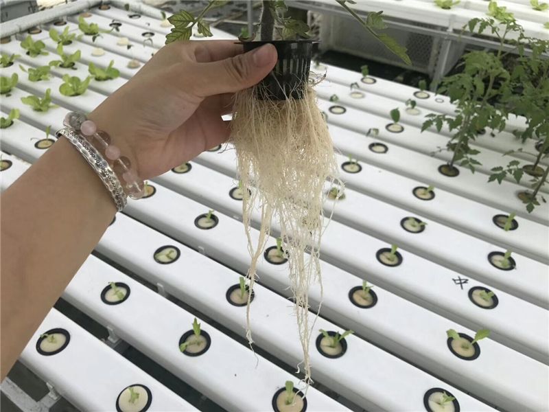 PVC NFT hydroponic channel 3