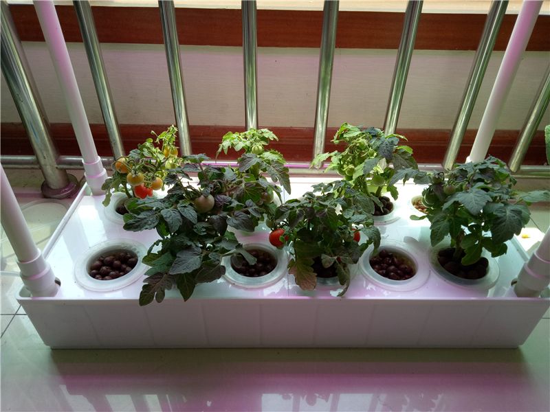 NFT hydroponic planting box