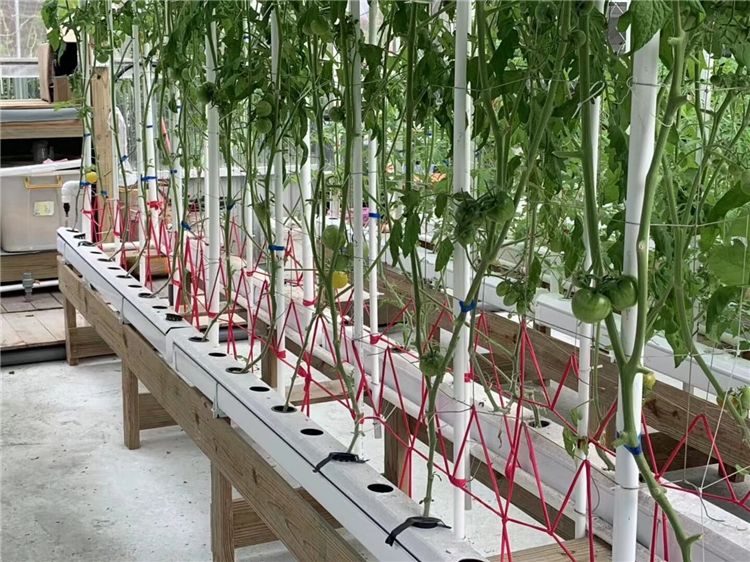 PVC NFT hydroponic channel 5