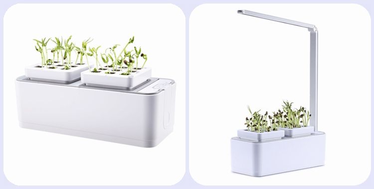 Mini Hydroponic Garden Planter