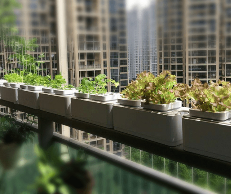 Mini Hydroponic Garden Planter