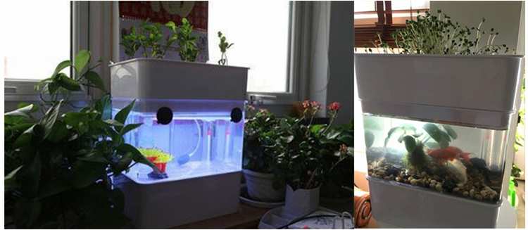 Mini Aquaponic Garden Planter