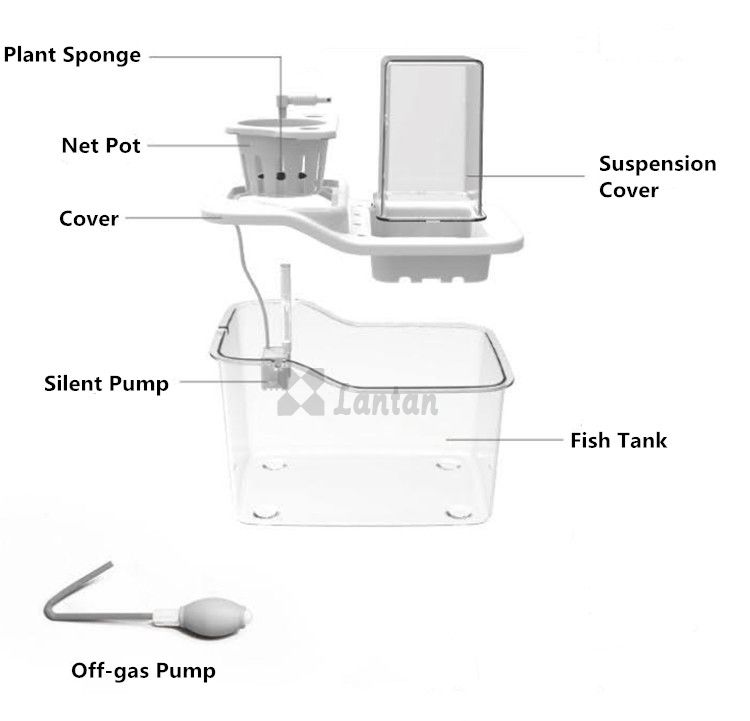 Mini Aquaponic Garden 2