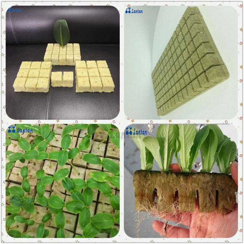 Agricultural Rock Wool seedling cubes