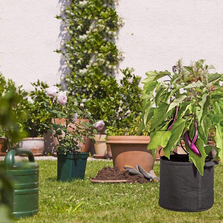 Felt Potato planting pots/bags with many colors