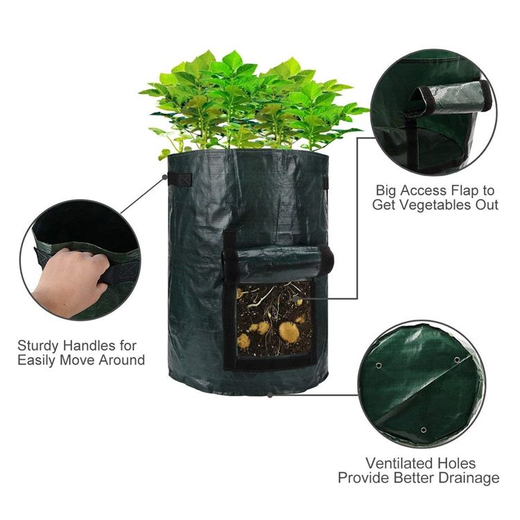 Plastic Potato grow pots/bags