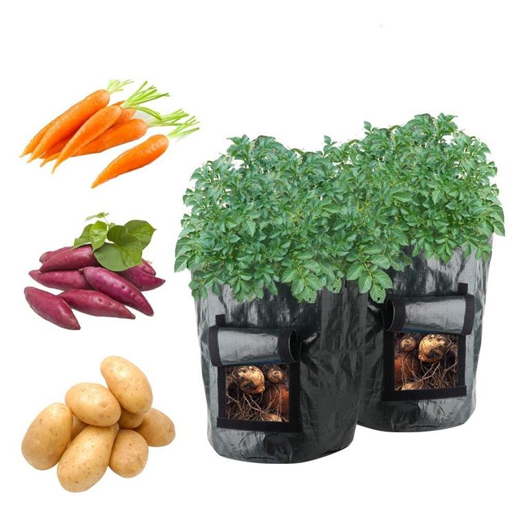 Plastic Potato grow pots/bags