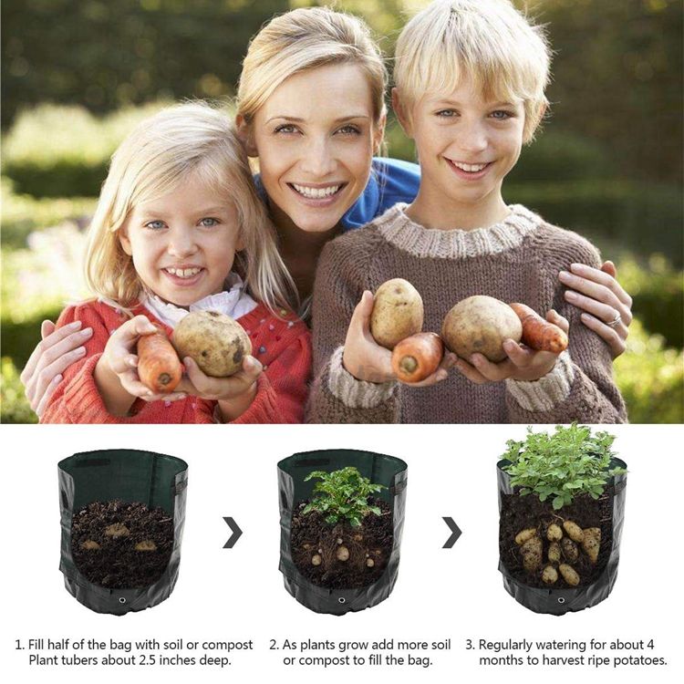 Plastic Potato grow pots/bags