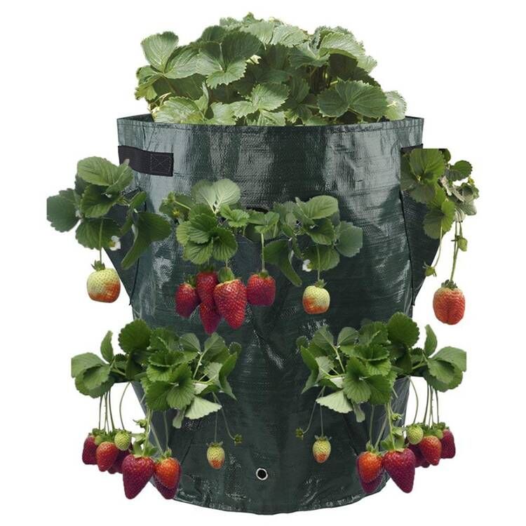 Plastic Strawberry Growing pots with 8 pockets