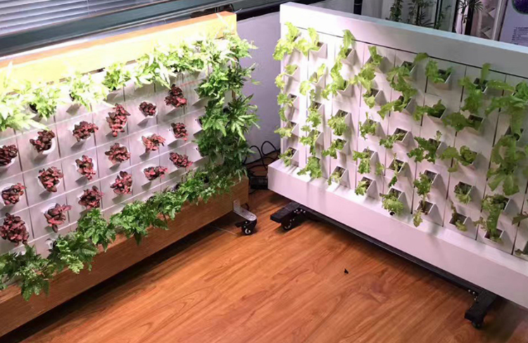 NFT VERTICAL HYDROPONIC WALL