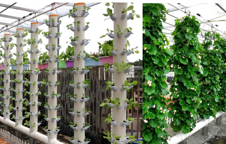 New type plastic Vertical Hydroponic planter for vegetable