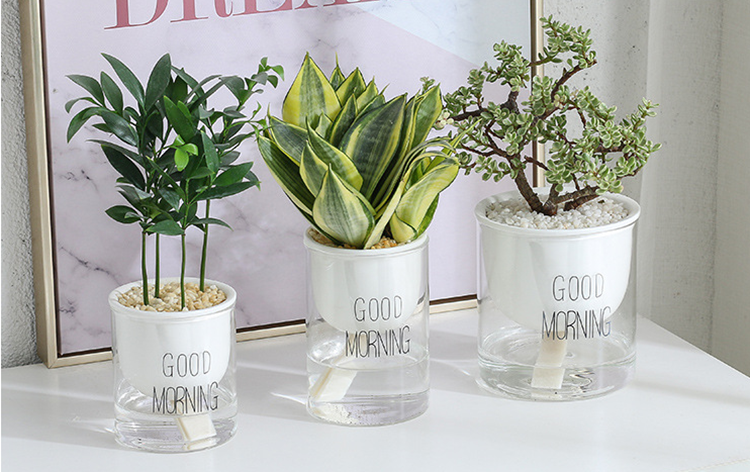 New Design Self watering Pots