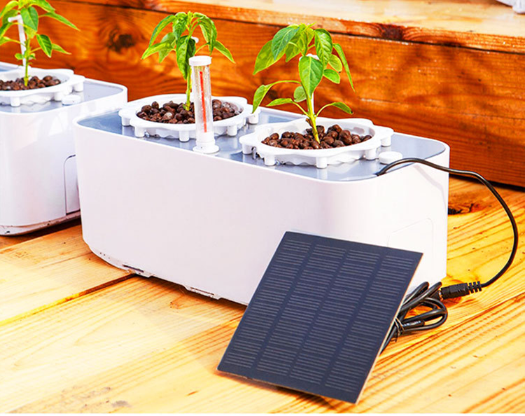 Indoor Mini Hydroponic Garden for vegetables