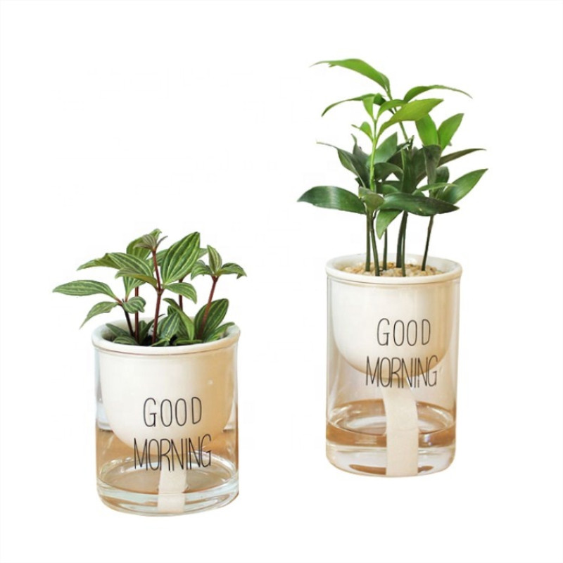 New Design Self watering Pots